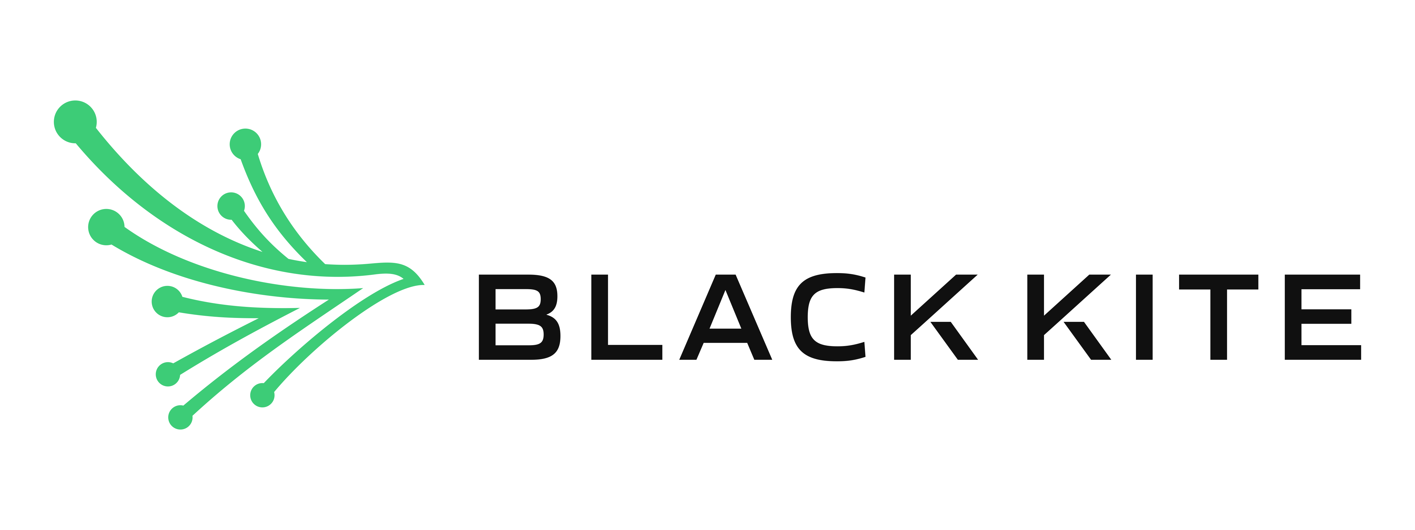 Black-Kite-Logo-Horizontal-for-Light-BG_3.png